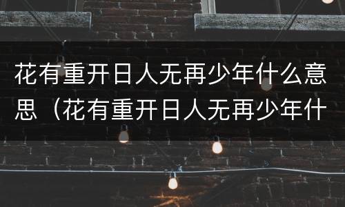 花有重开日人无再少年什么意思（花有重开日人无再少年什么意思啊）