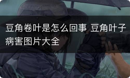 豆角卷叶是怎么回事 豆角叶子病害图片大全