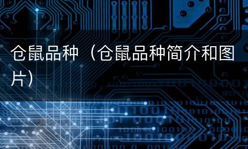 仓鼠品种（仓鼠品种简介和图片）