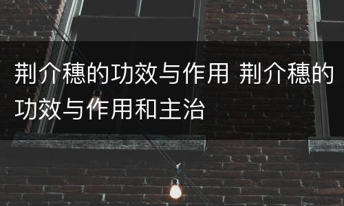 荆介穗的功效与作用 荆介穗的功效与作用和主治
