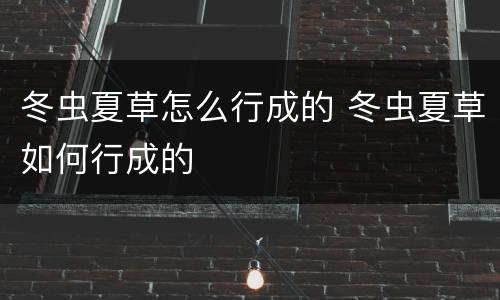 冬虫夏草怎么行成的 冬虫夏草如何行成的