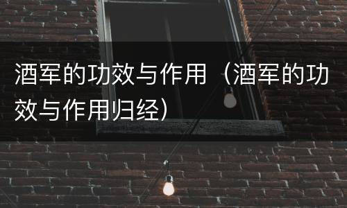 酒军的功效与作用（酒军的功效与作用归经）