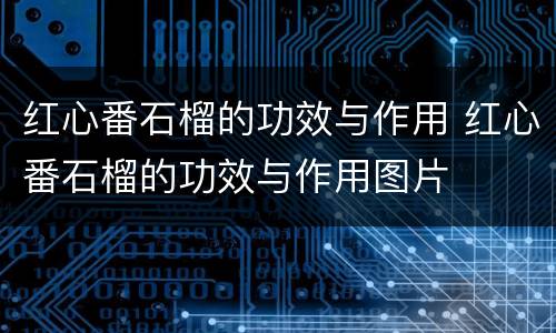 红心番石榴的功效与作用 红心番石榴的功效与作用图片