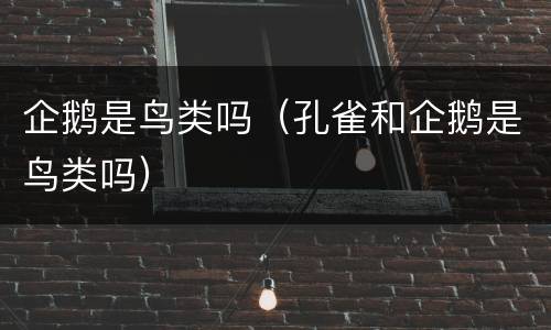 企鹅是鸟类吗（孔雀和企鹅是鸟类吗）