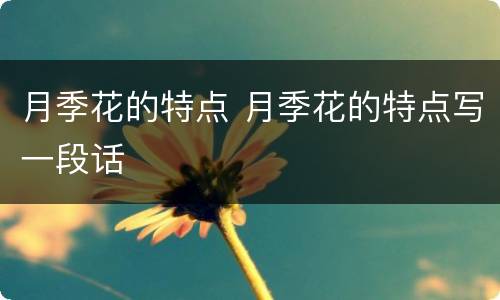 月季花的特点 月季花的特点写一段话