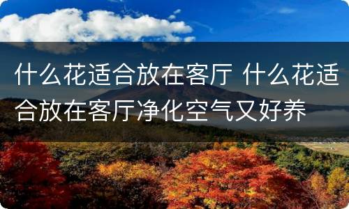 什么花适合放在客厅 什么花适合放在客厅净化空气又好养
