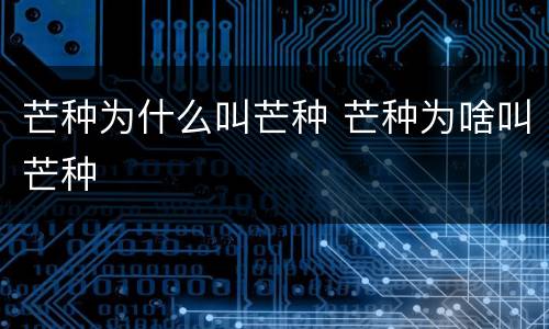 芒种为什么叫芒种 芒种为啥叫芒种