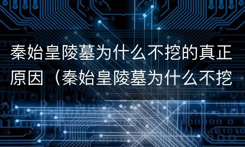 秦始皇陵墓为什么不挖的真正原因（秦始皇陵墓为什么不挖的真正原因西瓜）