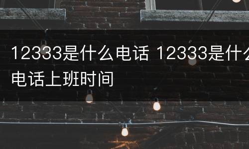 12333是什么电话 12333是什么电话上班时间