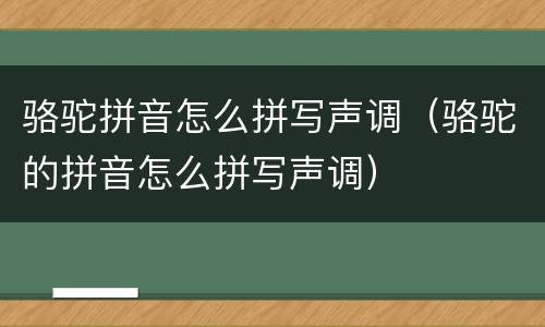 骆驼拼音怎么拼写声调（骆驼的拼音怎么拼写声调）