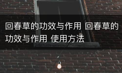 回春草的功效与作用 回春草的功效与作用 使用方法