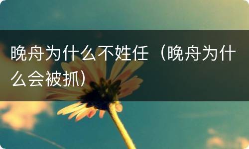 晚舟为什么不姓任（晚舟为什么会被抓）