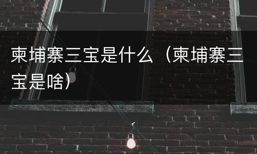 柬埔寨三宝是什么（柬埔寨三宝是啥）