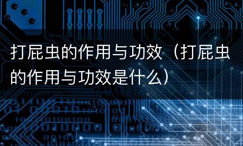 打屁虫的作用与功效（打屁虫的作用与功效是什么）