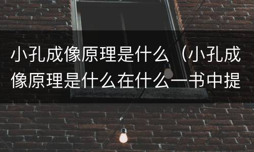 小孔成像原理是什么（小孔成像原理是什么在什么一书中提出来的）