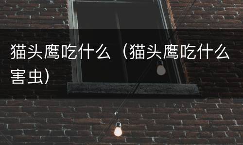 猫头鹰吃什么（猫头鹰吃什么害虫）