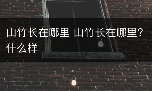 山竹长在哪里 山竹长在哪里?什么样