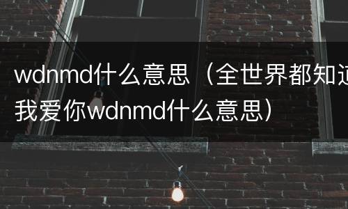 wdnmd什么意思（全世界都知道我爱你wdnmd什么意思）