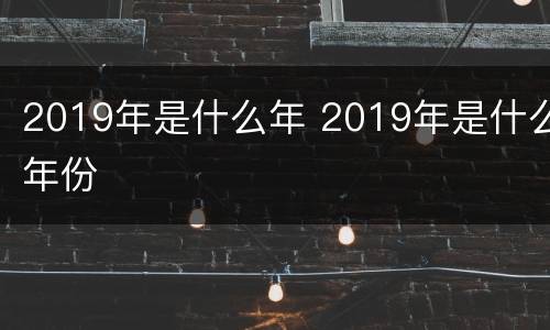 2019年是什么年 2019年是什么年份