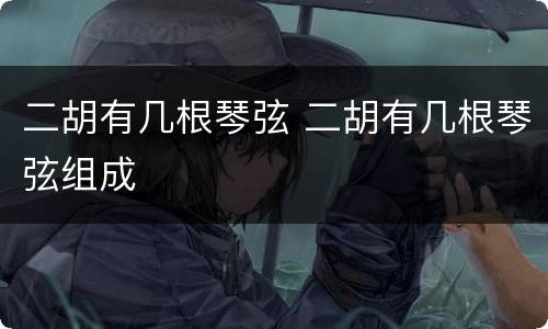 二胡有几根琴弦 二胡有几根琴弦组成