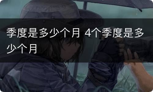 季度是多少个月 4个季度是多少个月