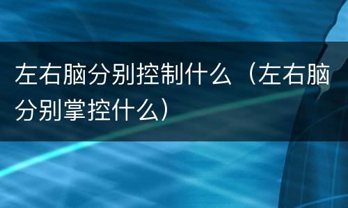 左右脑分别控制什么（左右脑分别掌控什么）