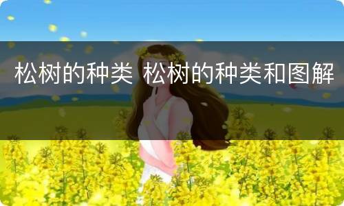 松树的种类 松树的种类和图解