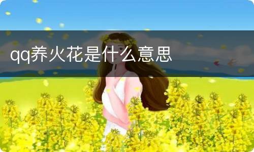 qq养火花是什么意思