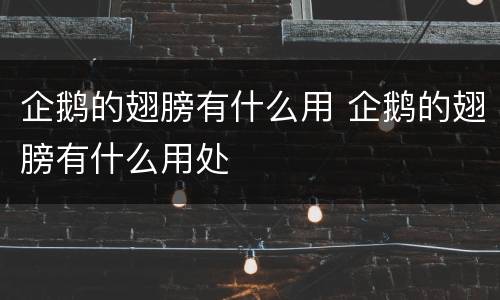 企鹅的翅膀有什么用 企鹅的翅膀有什么用处