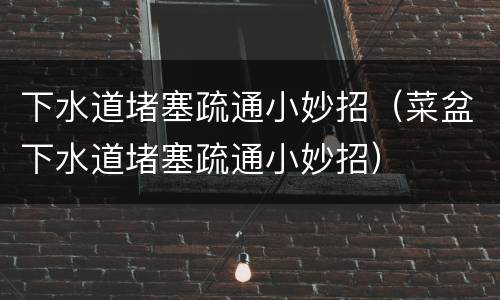 下水道堵塞疏通小妙招（菜盆下水道堵塞疏通小妙招）