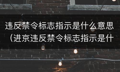 违反禁令标志指示是什么意思（进京违反禁令标志指示是什么意思）