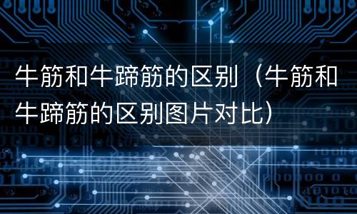 牛筋和牛蹄筋的区别（牛筋和牛蹄筋的区别图片对比）
