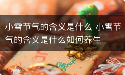 小雪节气的含义是什么 小雪节气的含义是什么如何养生