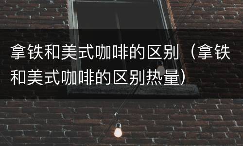 拿铁和美式咖啡的区别（拿铁和美式咖啡的区别热量）