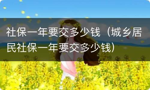 社保一年要交多少钱（城乡居民社保一年要交多少钱）