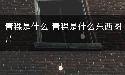 青稞是什么 青稞是什么东西图片