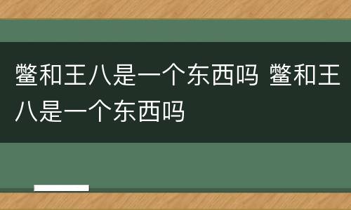 鳖和王八是一个东西吗 鳖和王八是一个东西吗