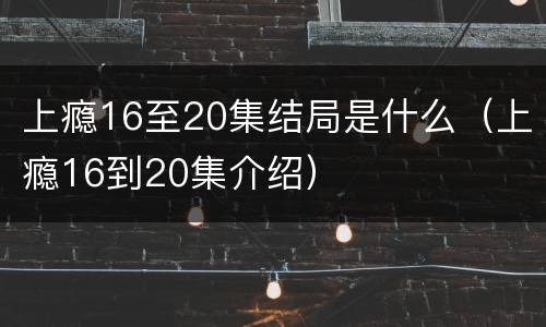 上瘾16至20集结局是什么（上瘾16到20集介绍）