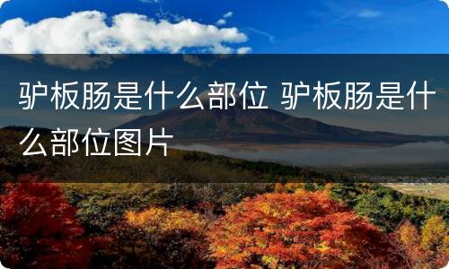 驴板肠是什么部位 驴板肠是什么部位图片