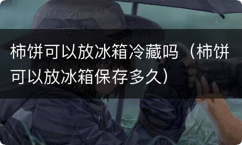 柿饼可以放冰箱冷藏吗（柿饼可以放冰箱保存多久）