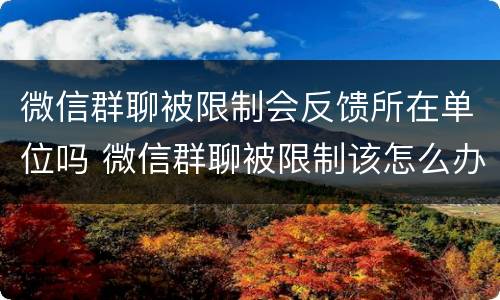 微信群聊被限制会反馈所在单位吗 微信群聊被限制该怎么办