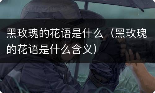 黑玫瑰的花语是什么（黑玫瑰的花语是什么含义）