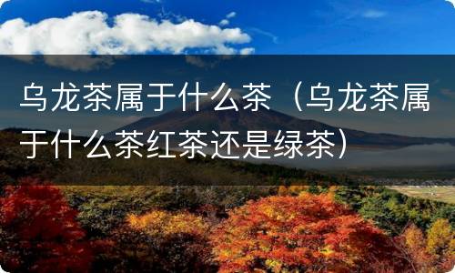 乌龙茶属于什么茶（乌龙茶属于什么茶红茶还是绿茶）