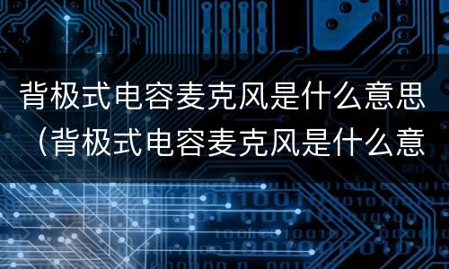 背极式电容麦克风是什么意思（背极式电容麦克风是什么意思啊）