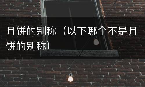 月饼的别称（以下哪个不是月饼的别称）