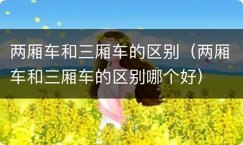 两厢车和三厢车的区别（两厢车和三厢车的区别哪个好）