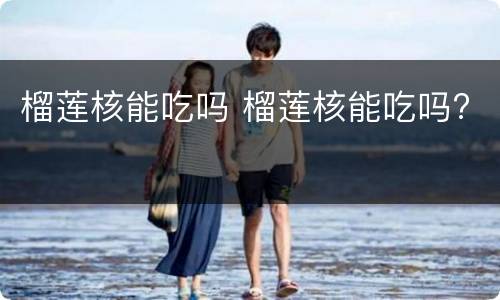 榴莲核能吃吗 榴莲核能吃吗?