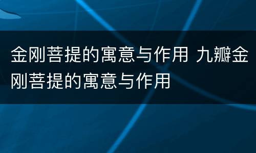 金刚菩提的寓意与作用 九瓣金刚菩提的寓意与作用
