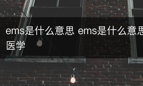 ems是什么意思 ems是什么意思医学