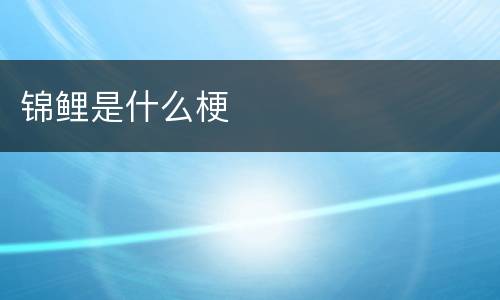 锦鲤是什么梗